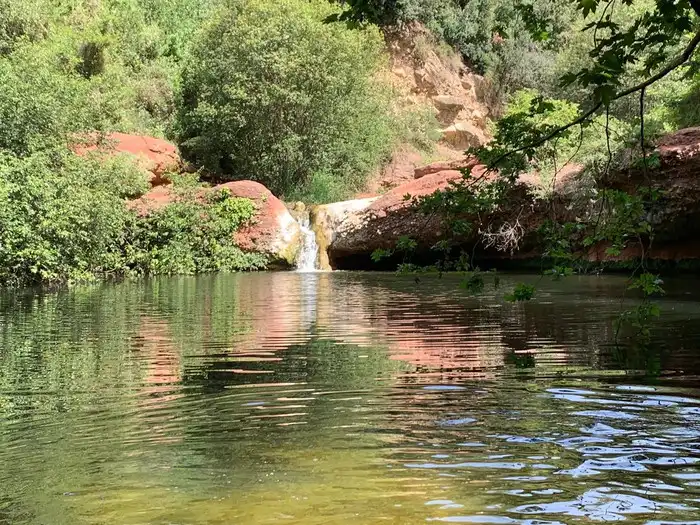 Piscina de Casa o chalet en venta en Bigues i Riells del Fai con Aire acondicionado, Calefacción y Jardín privado