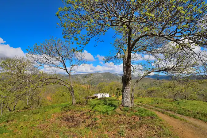 Country house zum Verkauf in Ronda mit Privatgarten