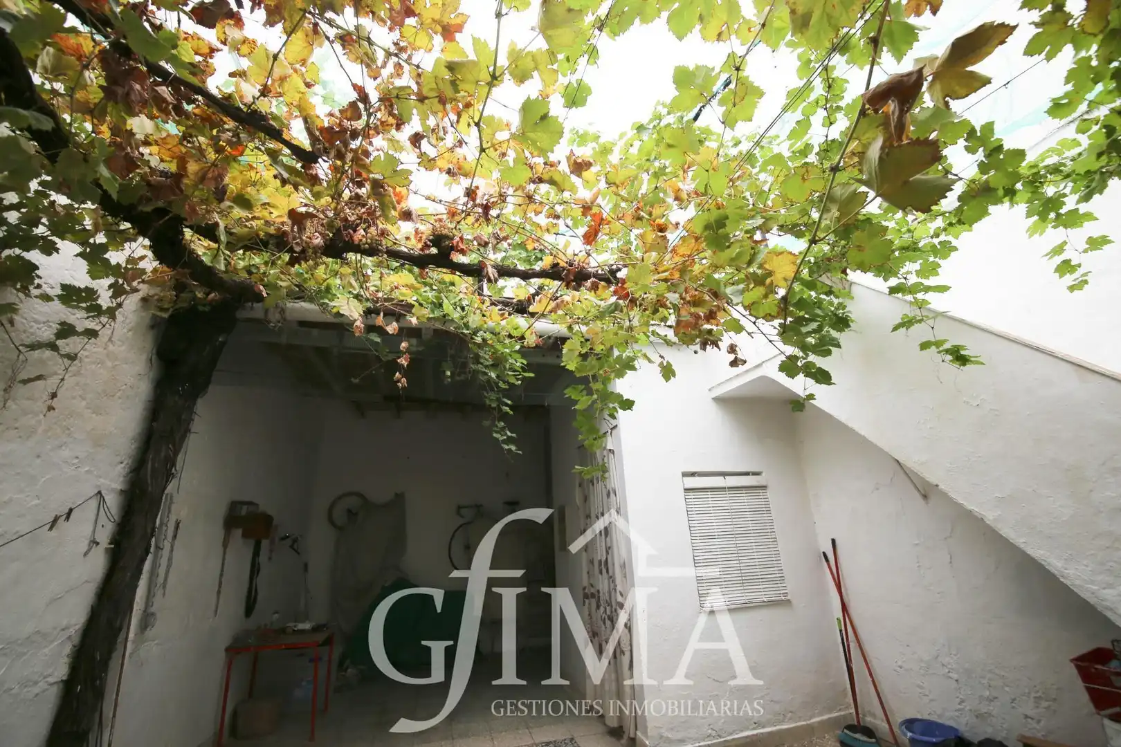 Jardín de Casa o chalet en venta en Tomelloso con Terraza