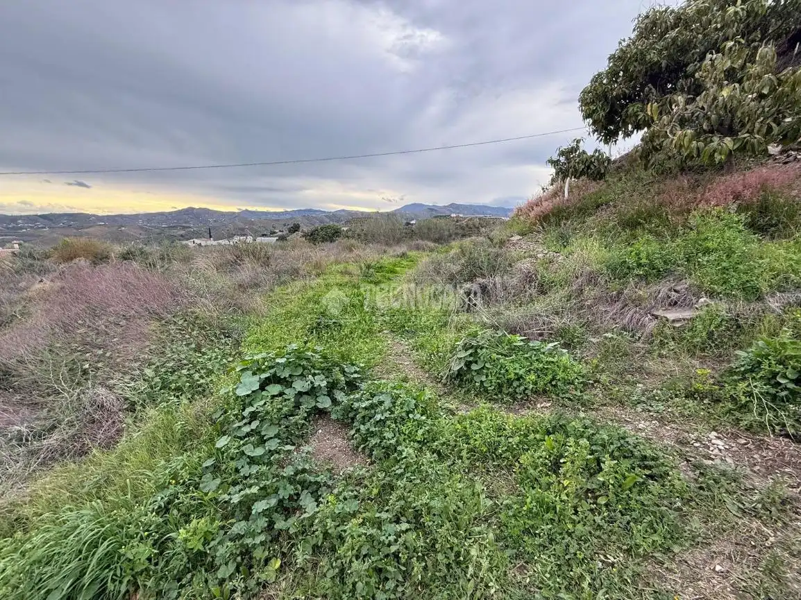 Terreny rústic en venda a Vélez-Málaga ciudad, imagen 18