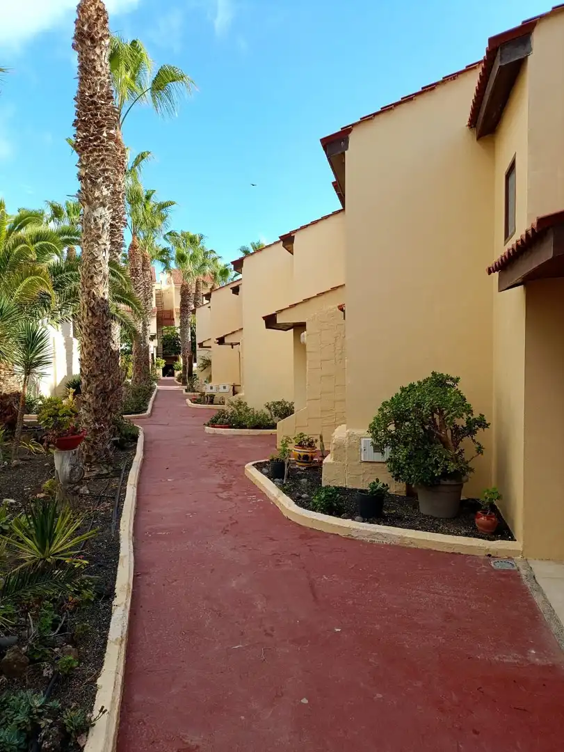 Vista exterior de Dúplex en venda en La Oliva amb Piscina comunitària