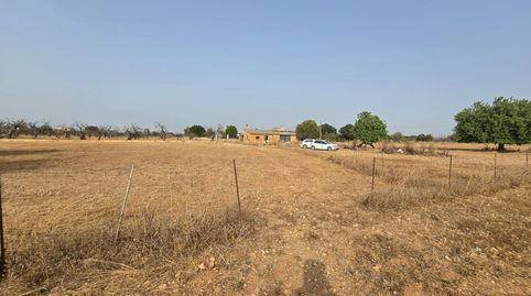 Photo 2 of Houses for sale in Búger, Illes Balears