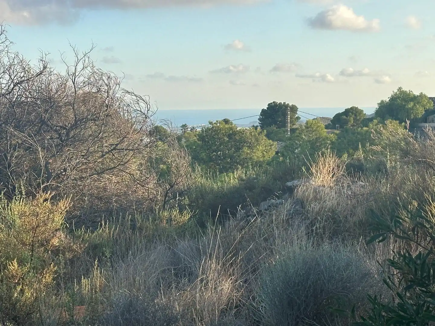 Wohnbaugrundstück zum Verkauf in Venta del Moro, imagen 5
