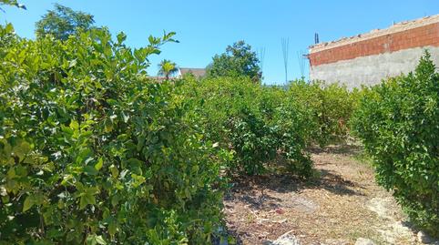 Foto 4 de Casa o xalet en venda a Nonduermas, Murcia