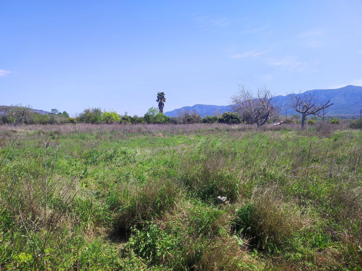 Finca rústica en venta en Ulldecona