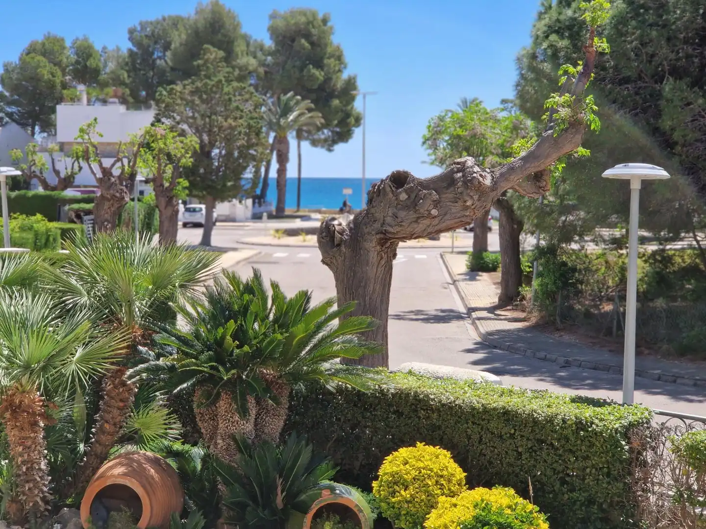 Villa mit Terrasse zum Verkauf in Miami Platja, imagen 44