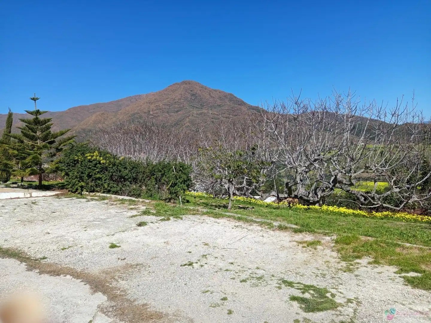 Casa rústica amb piscina en venda a Costa Natura, imagen 39