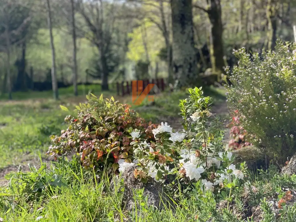 Jardí de Casa o xalet en venda en Ames