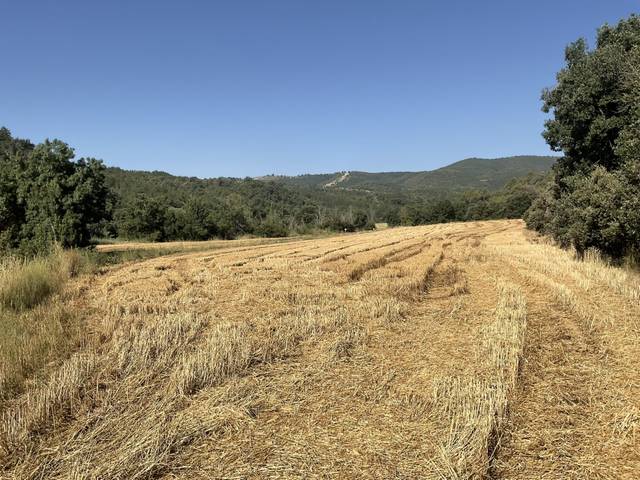 Terreno residencial en Venta en Olvena