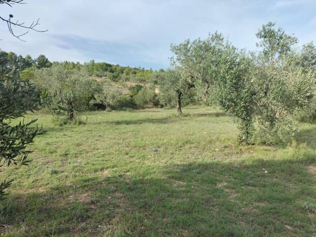 Terreno en Venta en Navarrés