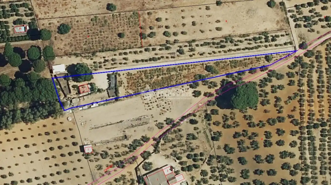 Terreno en venta en Marchena