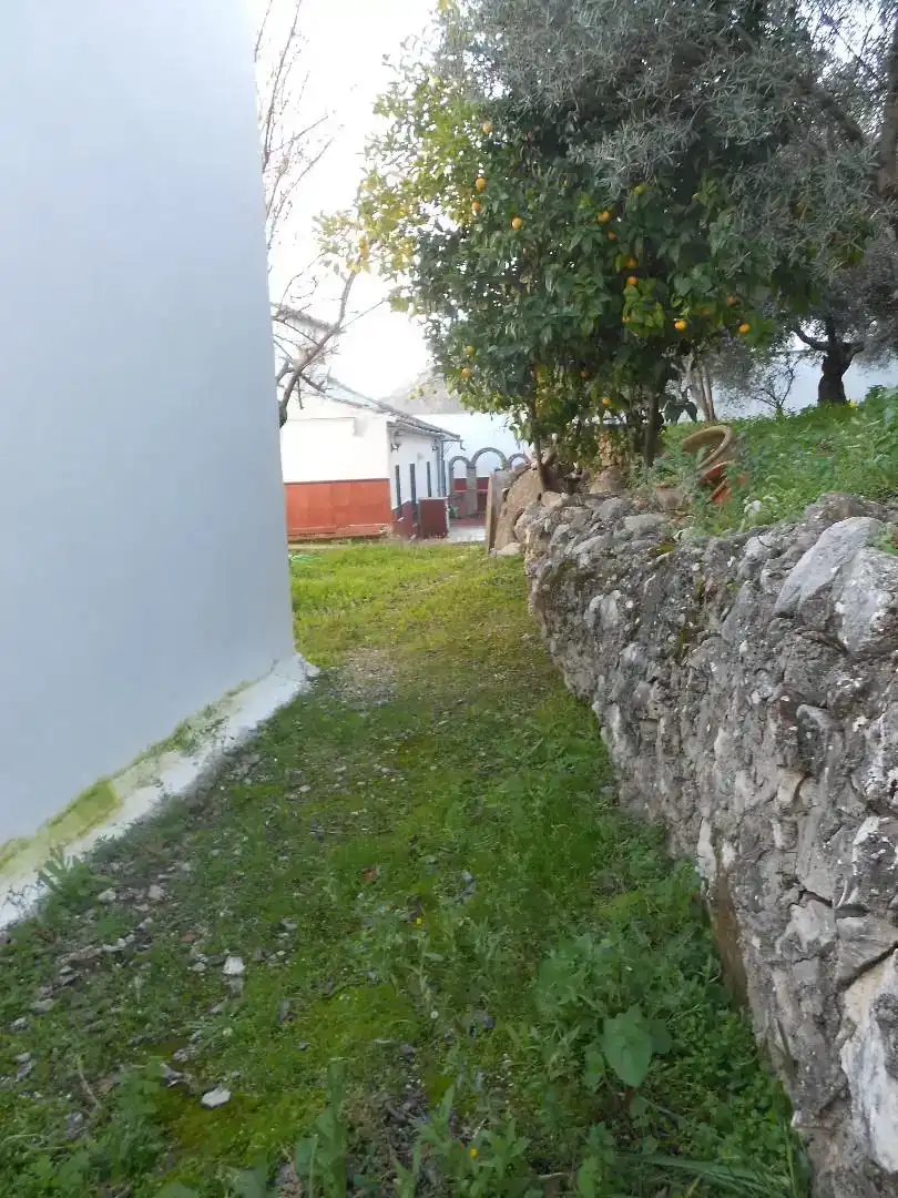 Casa o xalet en venda en Montejaque amb Jardí privat, Traster i Moblat