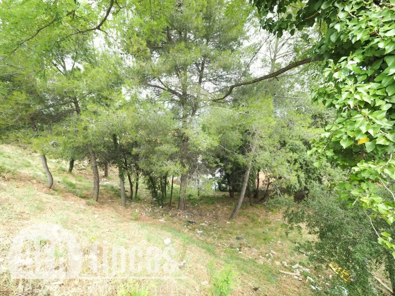 Terreno residencial en venta en Calle Falciot