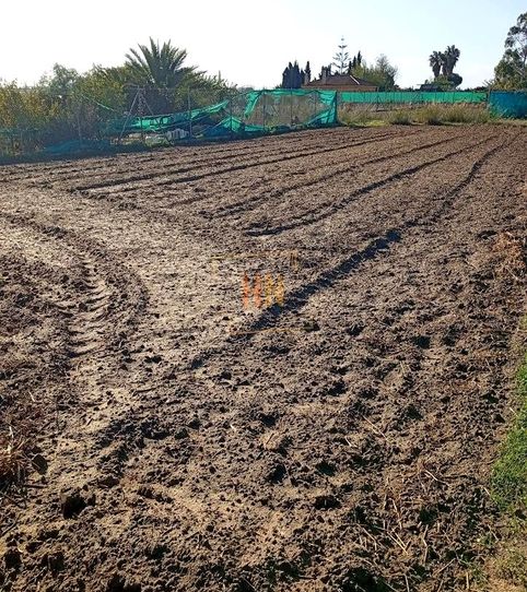 Photo 2 of Residential for sale in Ctra Chipiona, Las Palmeras - Dehesilla, Sanlúcar de Barrameda