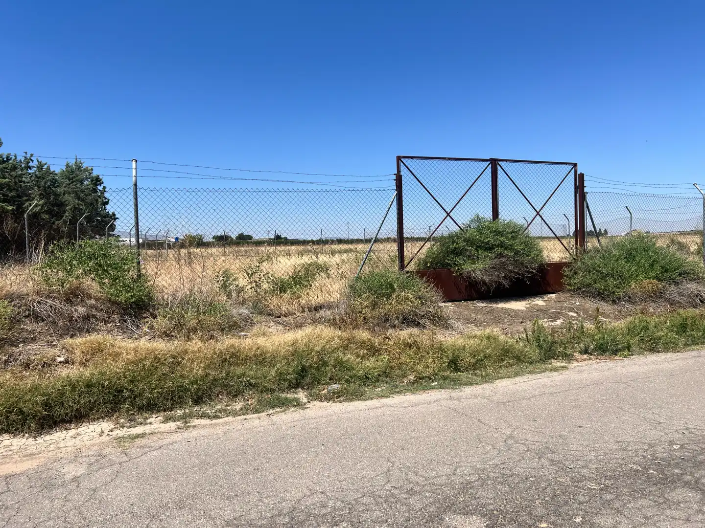 Terreny rústic en venda a Herencia, imagen 4