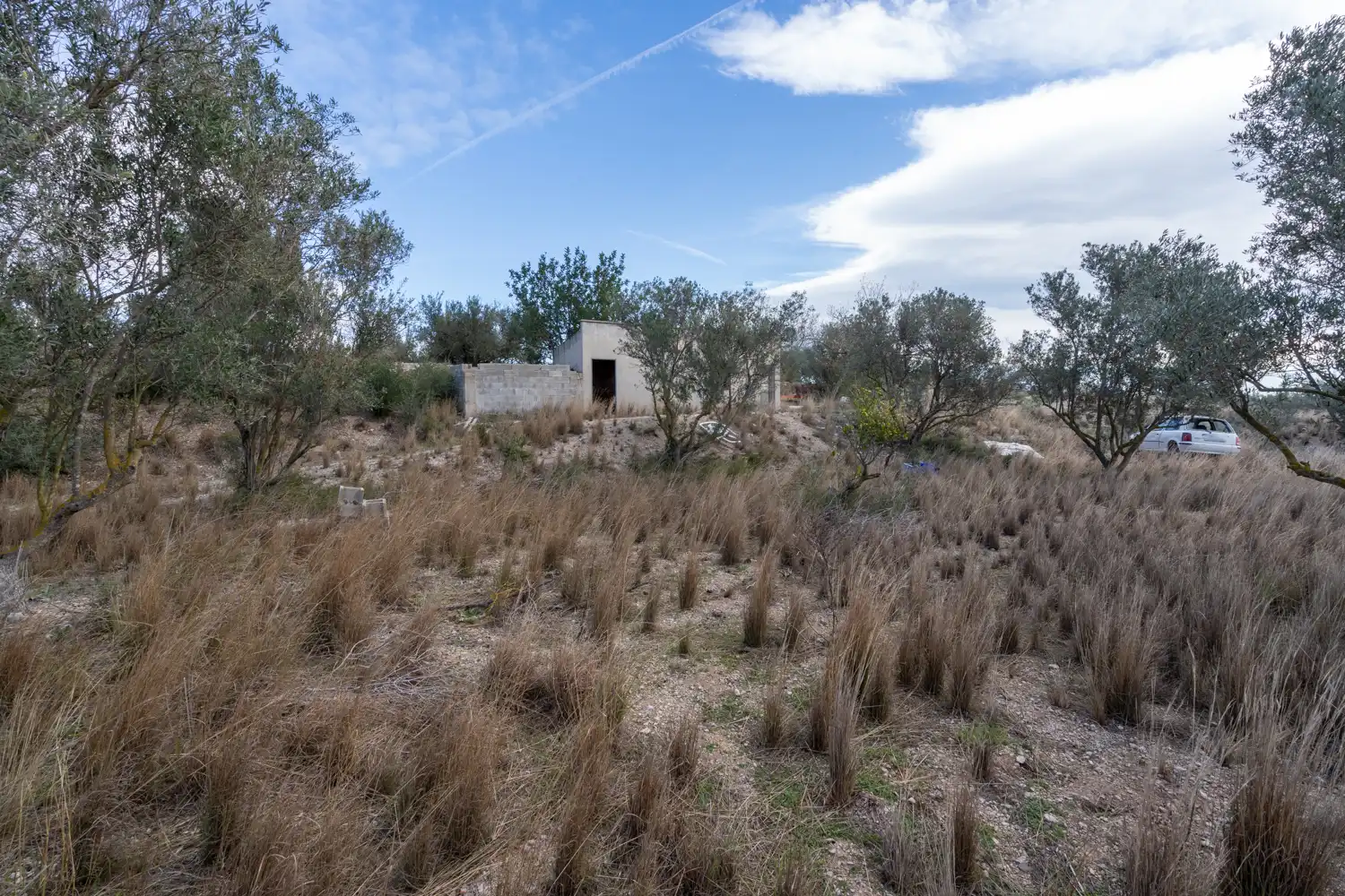 Terreno rustico in vendita a Roquetes, imagen 15
