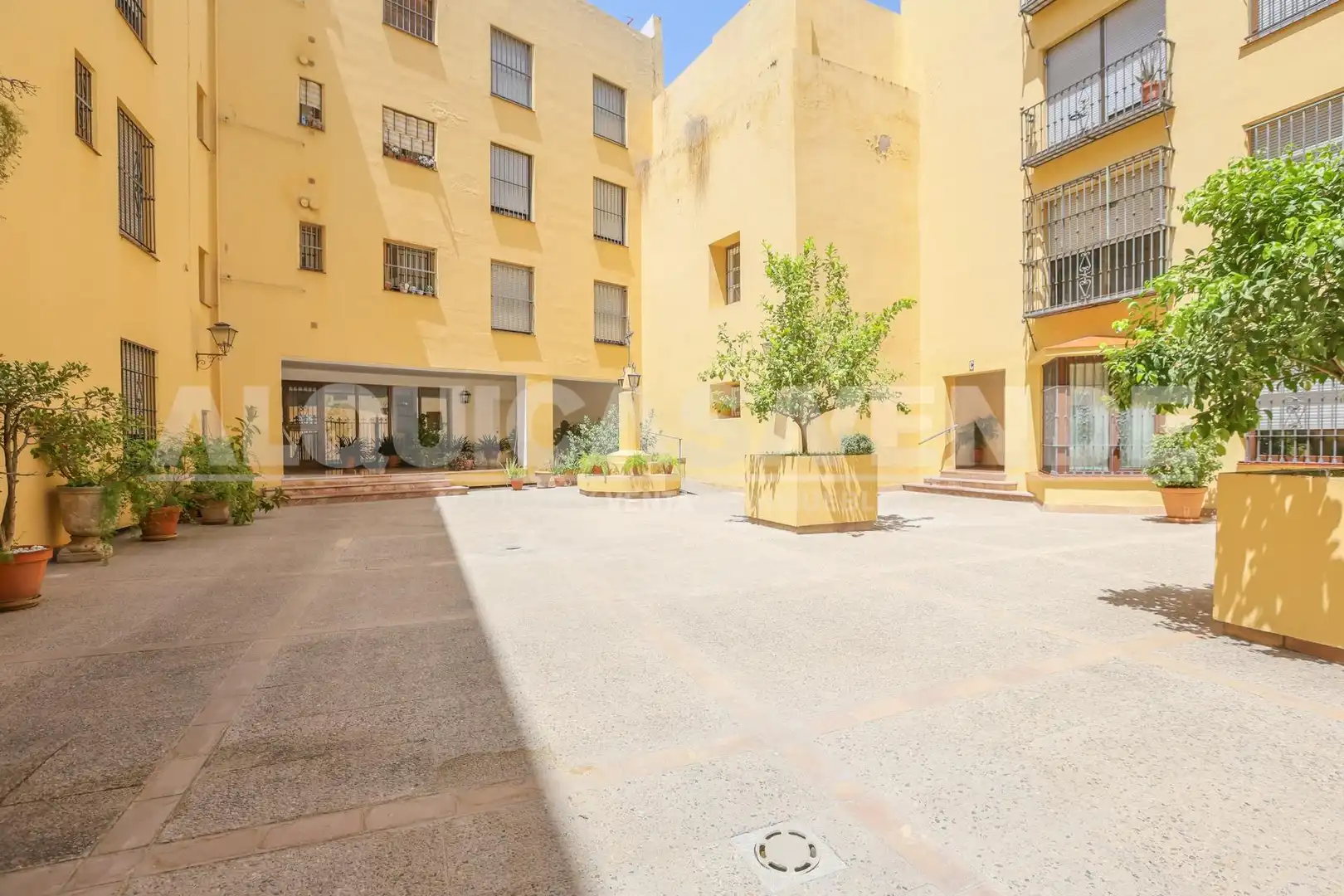 Vista exterior de Pis en venda en Sevilla amb Aire condicionat, Calefacció i Jardí privat