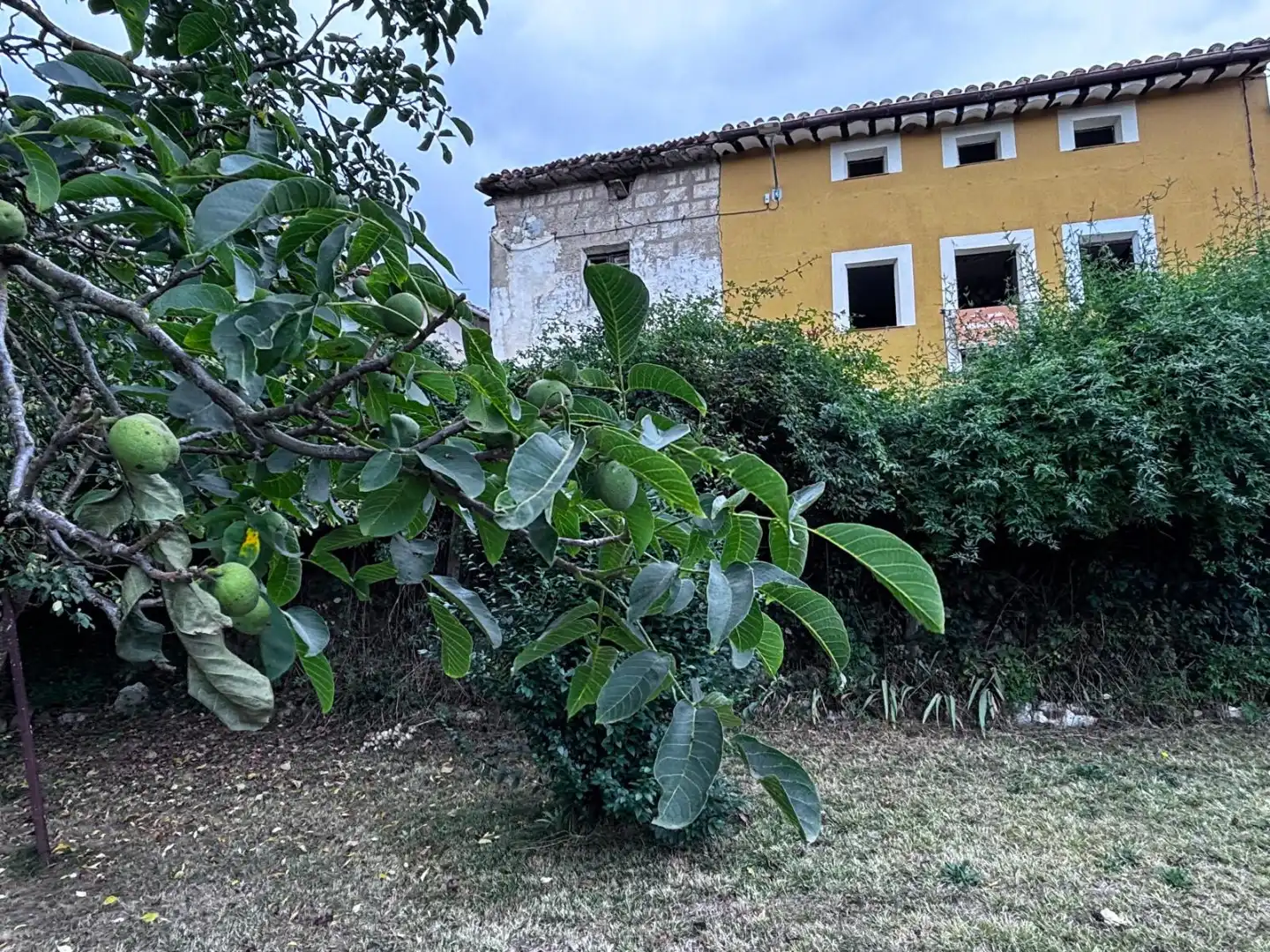 Vista exterior de Finca rústica en venta en Valle de Oca con Calefacción y Jardín privado