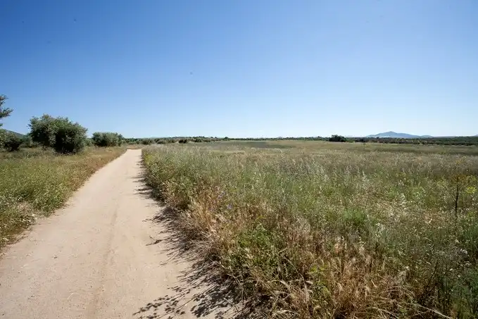 Terreni e lotti in vendita a Sc S6-S13 - Camino Fuente Cordel -, imagen 18