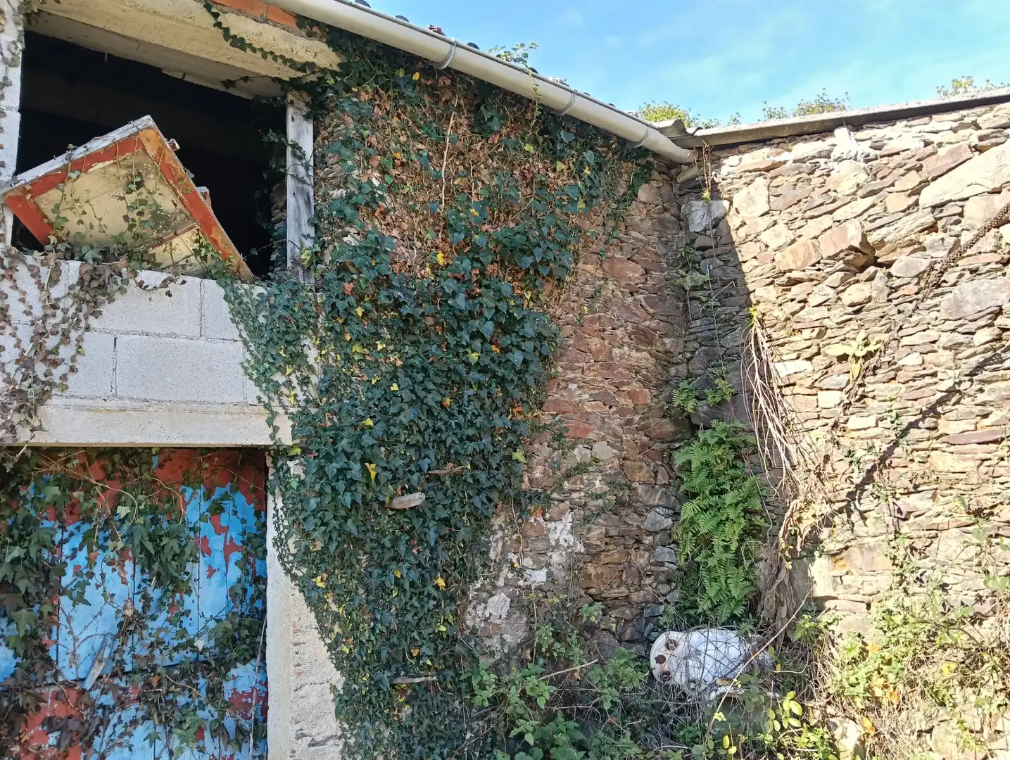 Adossat amb jardí en venda a Cesuras, imagen 3