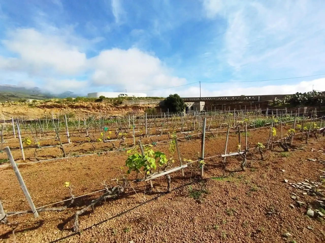 Terreno rustico in vendita a Arico, imagen 8