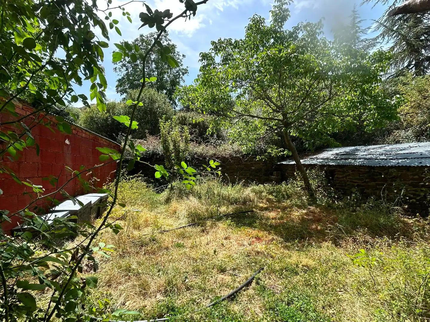 Terreno rústico en venta en Güéjar Sierra, imagen 9