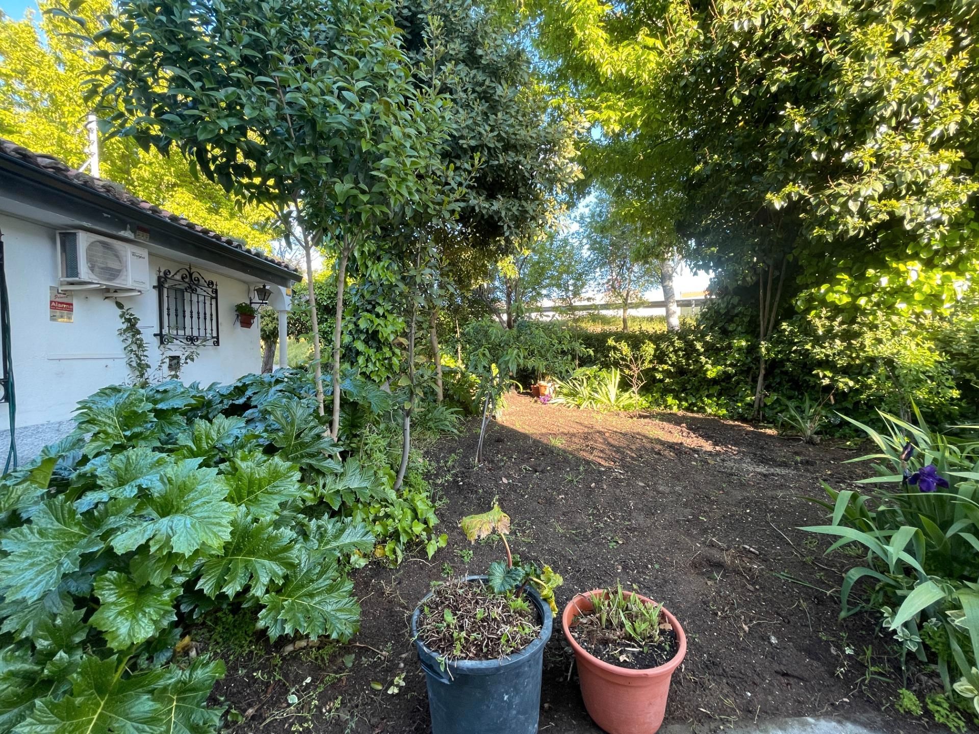 Jardí de Casa o xalet en venda en Chinchón amb Aire condicionat, Calefacció i Jardí privat