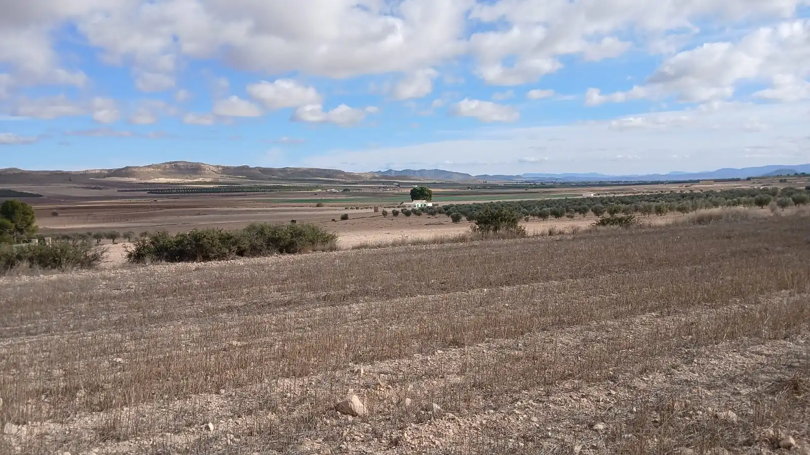 Residential land for sale in Yecla, imagen 16