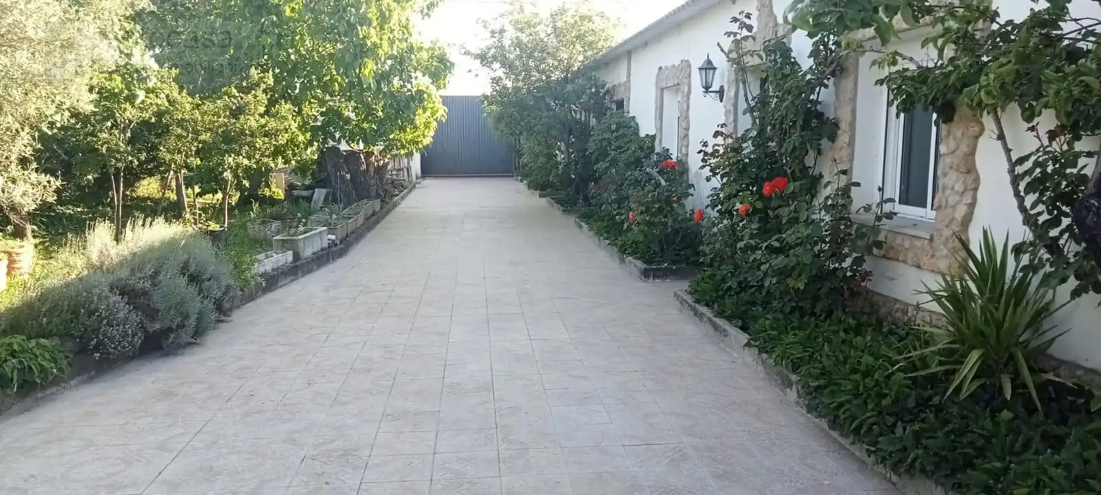 Terraza de Casa o chalet en venta en Trigueros del Valle con Calefacción, Trastero y Piscina