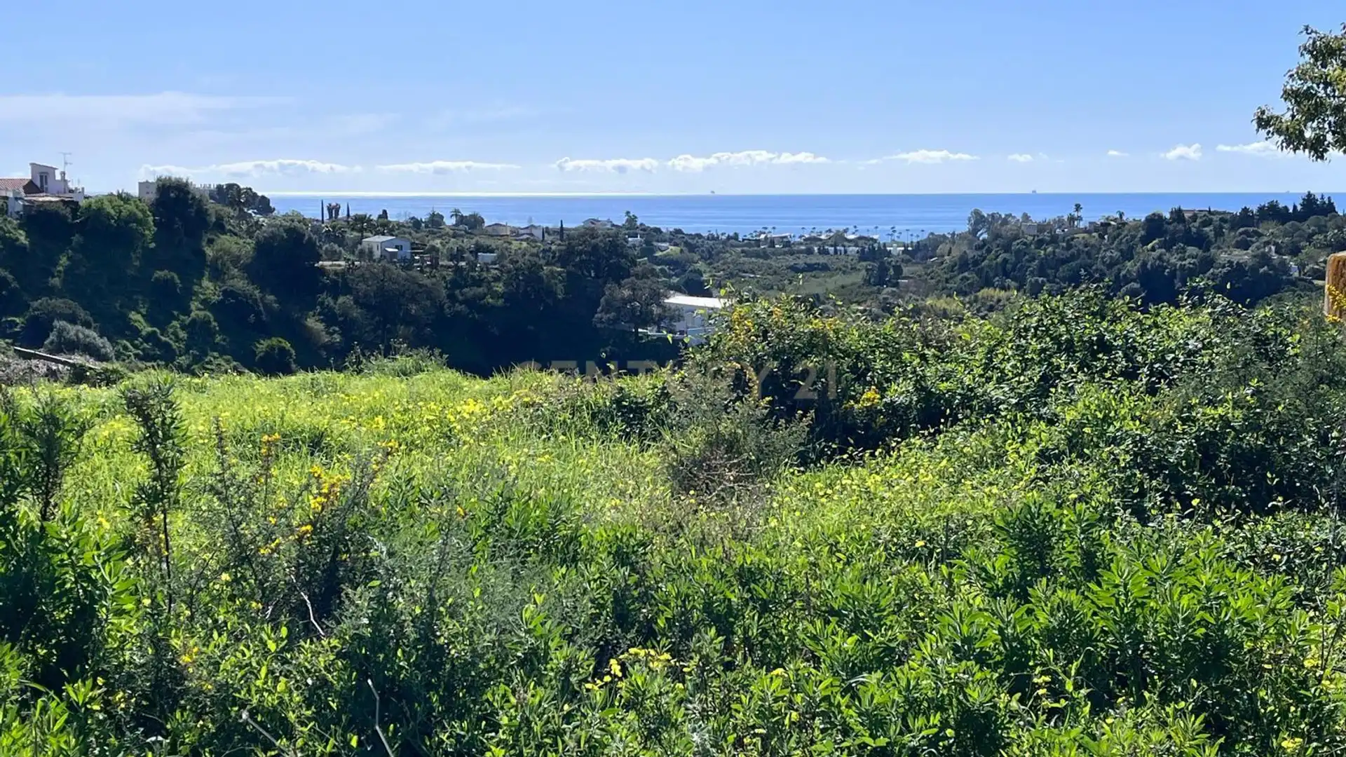 Vista exterior de Residencial en venta en Estepona