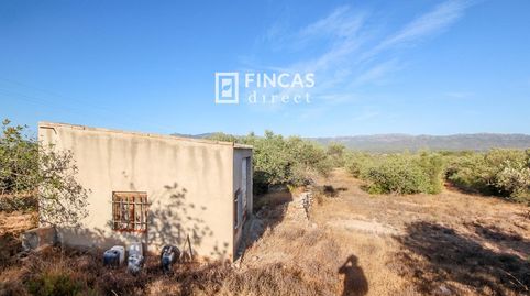 Foto 3 de Finca rústica en venda a Vfp9+769, Xerta, Tarragona