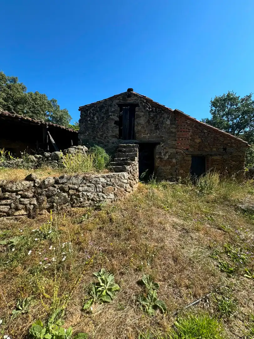 Terreni e lotti in vendita a Candeleda