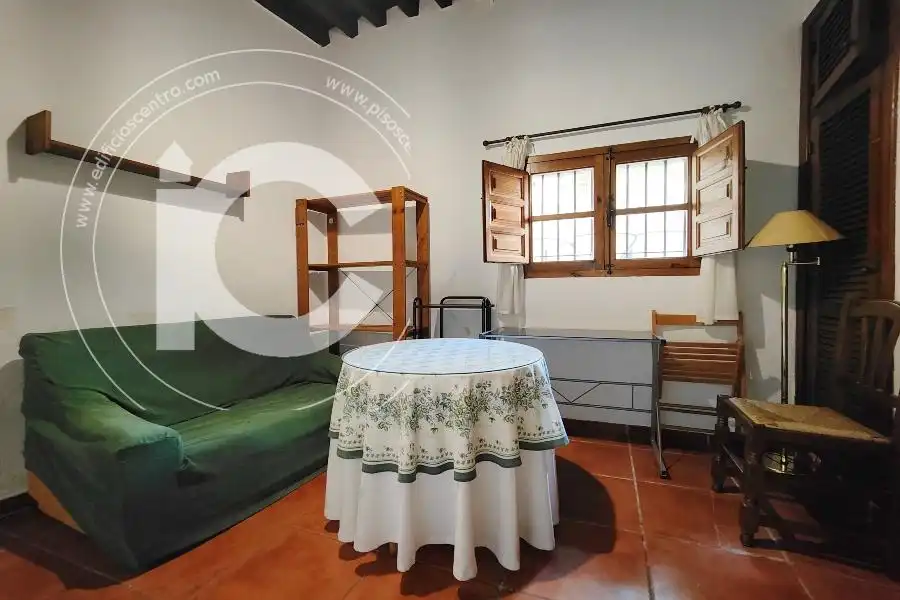 Sala de estar de Estudio de alquiler en Granada con Aire acondicionado