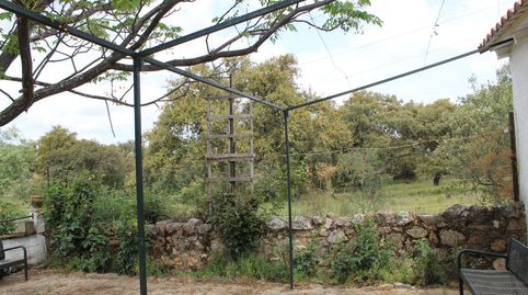 Foto 5 de Finca rústica en venta en Hornachos, Badajoz