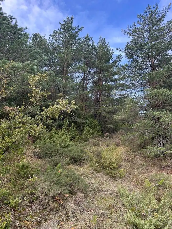 Land for sale in Kuartango