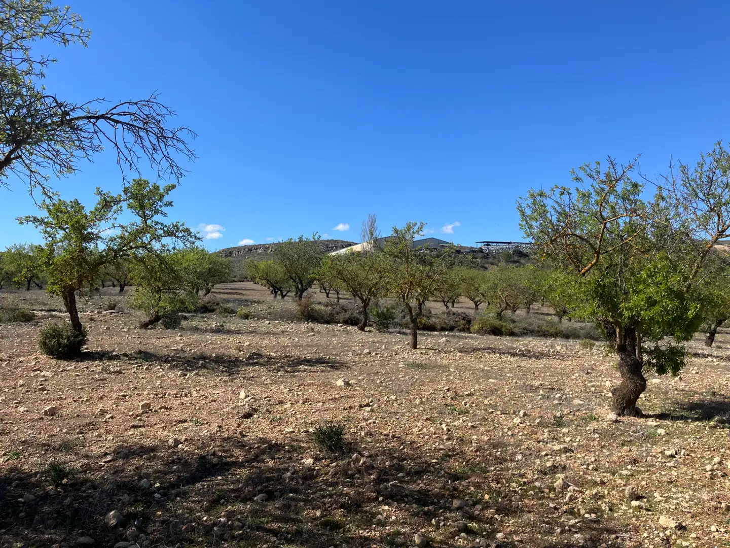 Rustikales Grundstück zum Verkauf in Avenida de Andalucía, imagen 5
