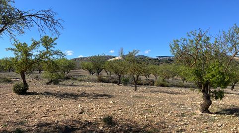 Finca en Carretera de la cabra Padul, immagine 5