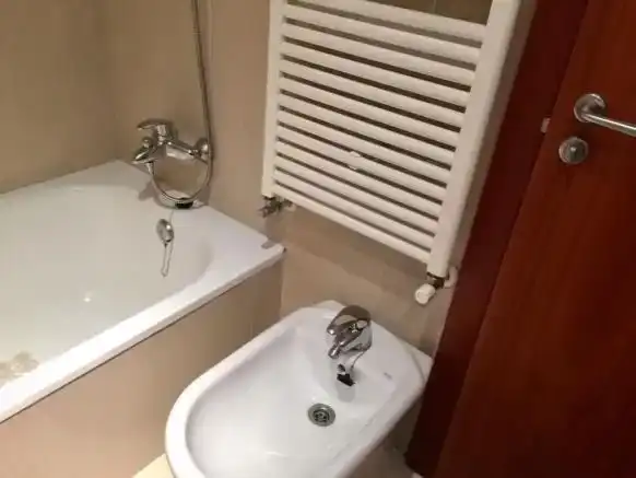 Badezimmer von Wohnung zur Miete in Aisa mit Parkett, Abstellraum und Möbliert