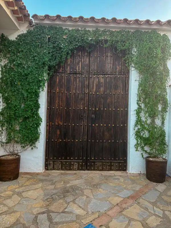Vista exterior de Casa o xalet en venda en Algodonales amb Aire condicionat, Calefacció i Jardí privat