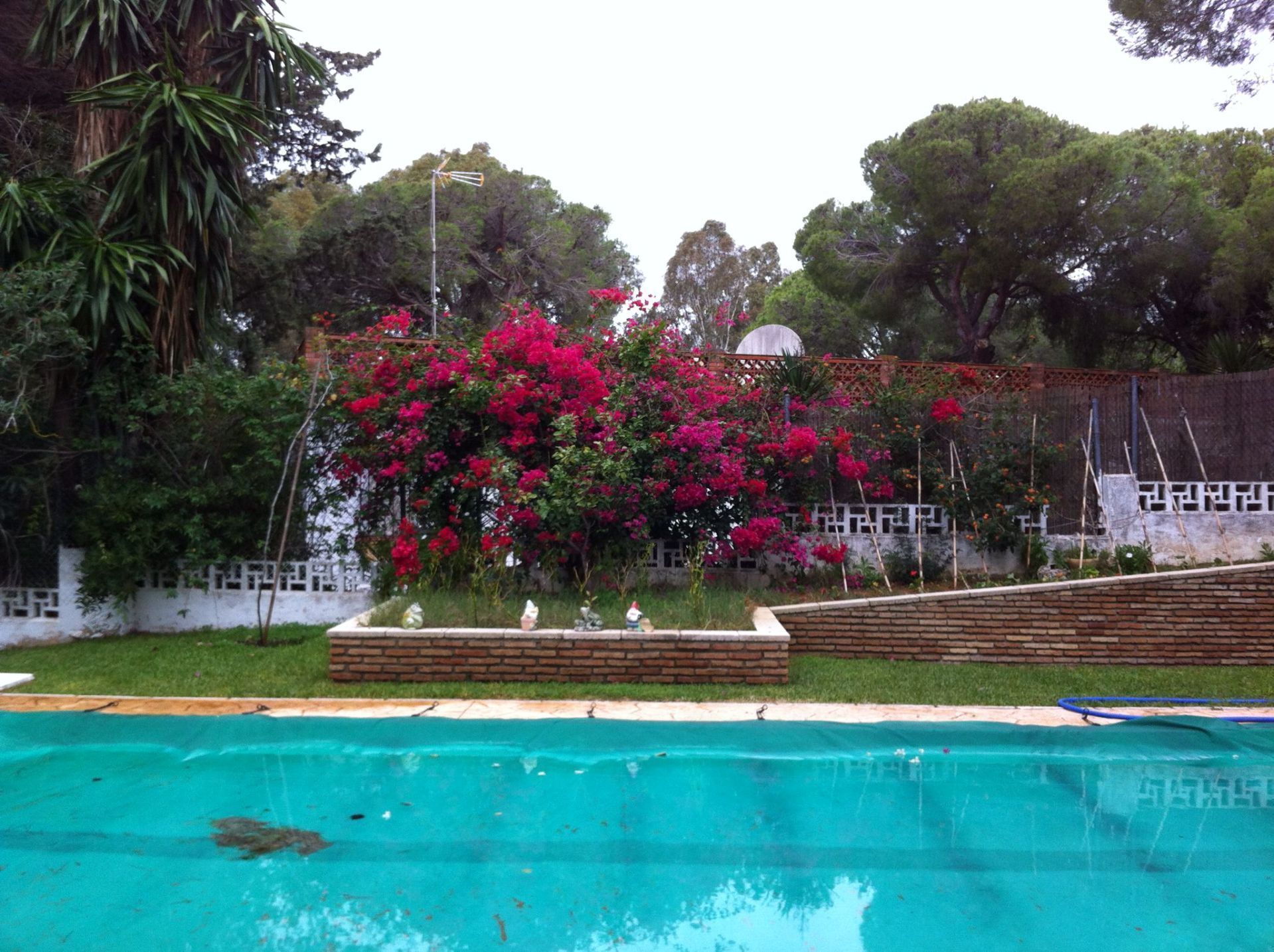 Jardí de Casa o xalet en venda en Chiclana de la Frontera amb Jardí privat, Traster i Piscina