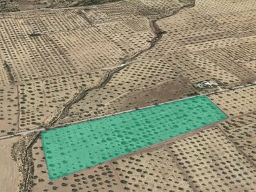 Rural land for sale in Ptda Toconar o Solana, Pol 55