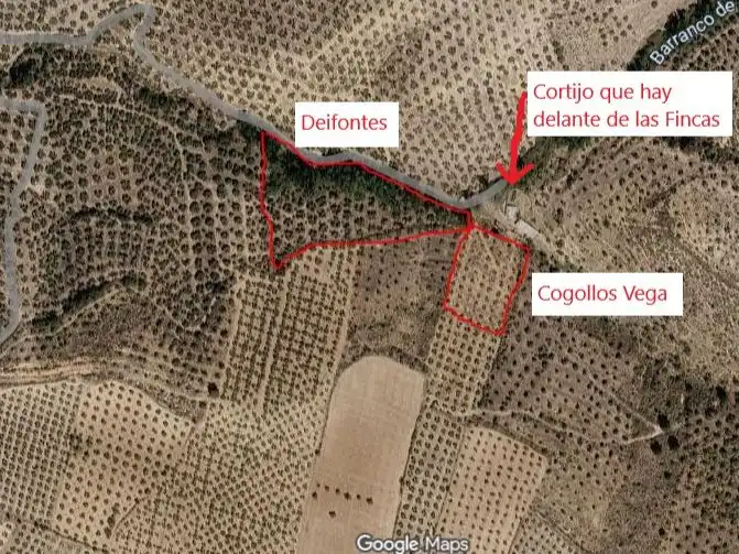 Terreni e lotti in vendita a Avenida el Llano 1