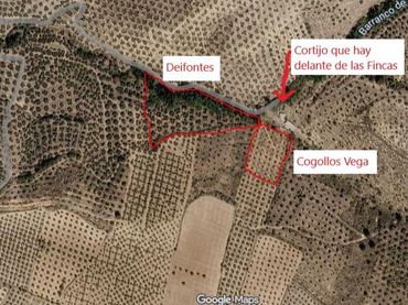 Terreny rústic en venda a Avenida el Llano 1