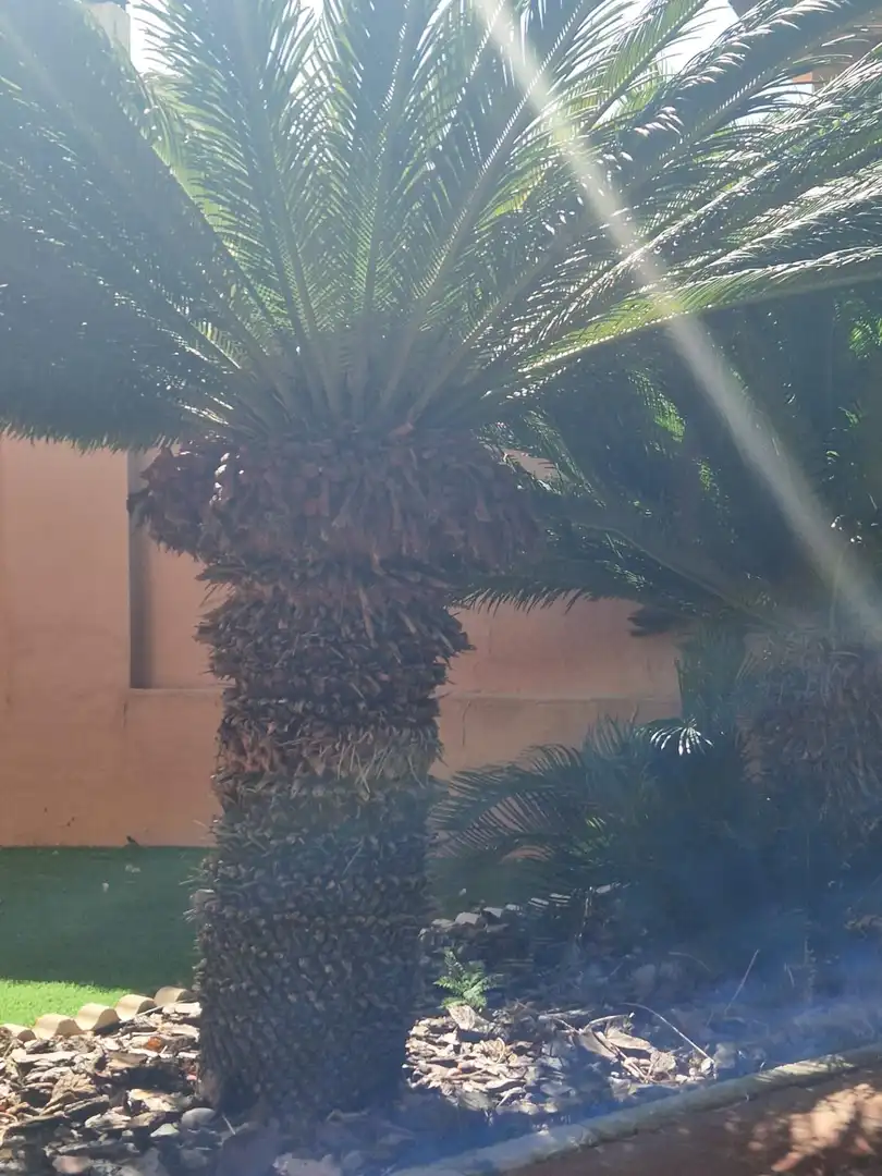 Xalet amb jardí en venda a El Juncal - Vallealto, imagen 26