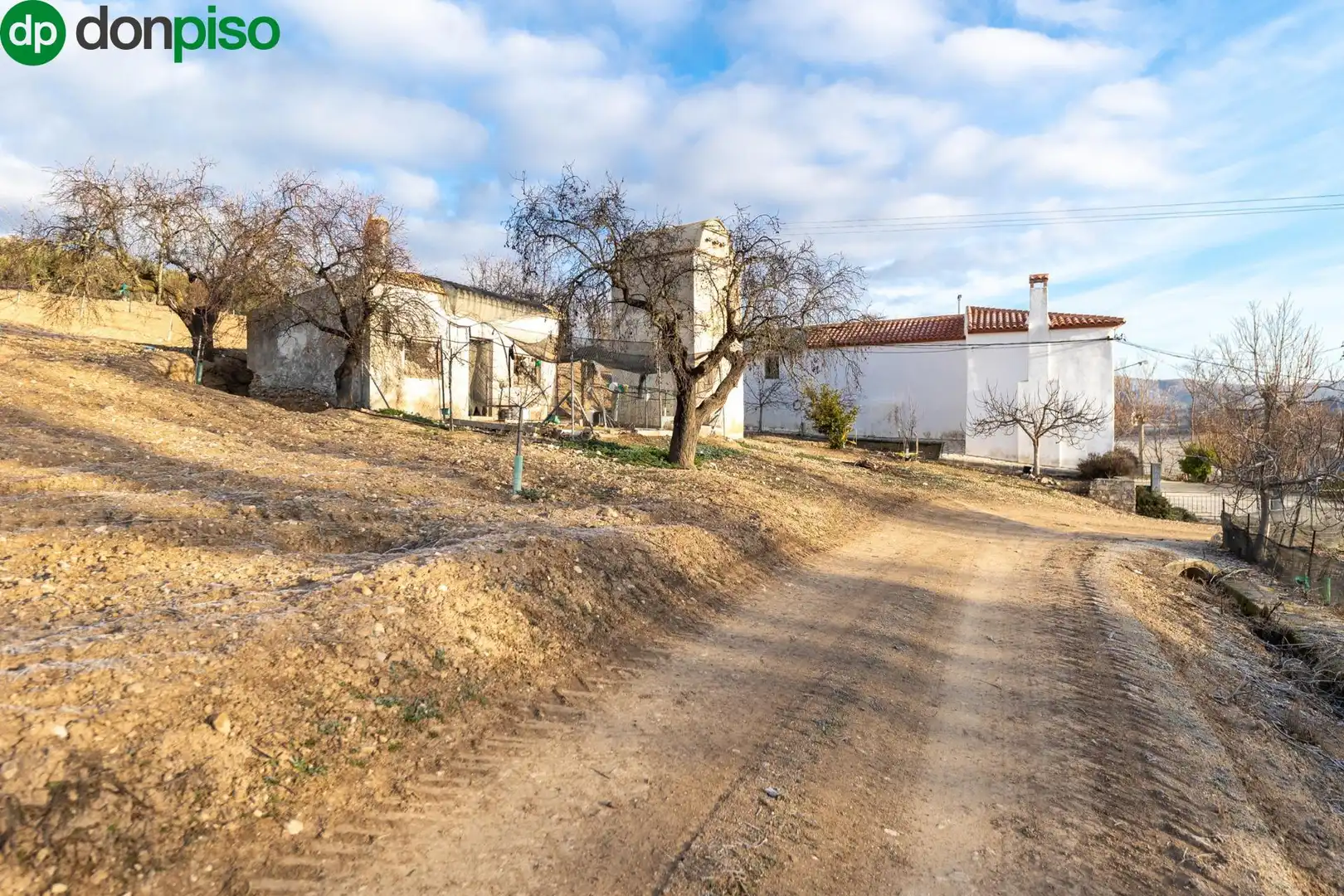 Finca rústica en venta en Calle CAGALONA, 3, Píñar