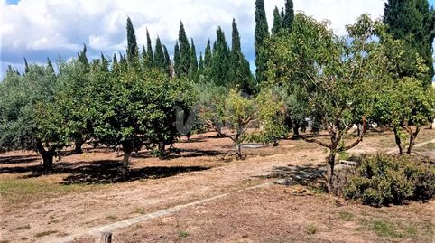 Foto 5 de Casa o chalet en venta en Móra d'Ebre, Tarragona