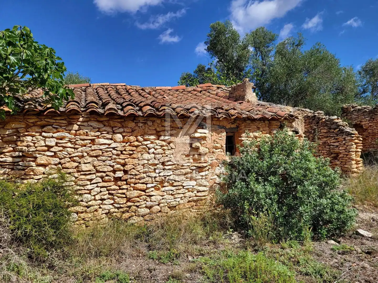 Terreno rustico in vendita a Traiguera, imagen 11