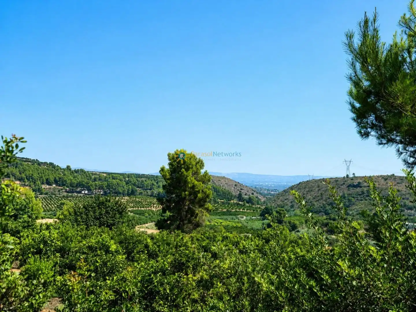 Finca rústica en venda en Sellent amb Terrassa, Traster i Piscina