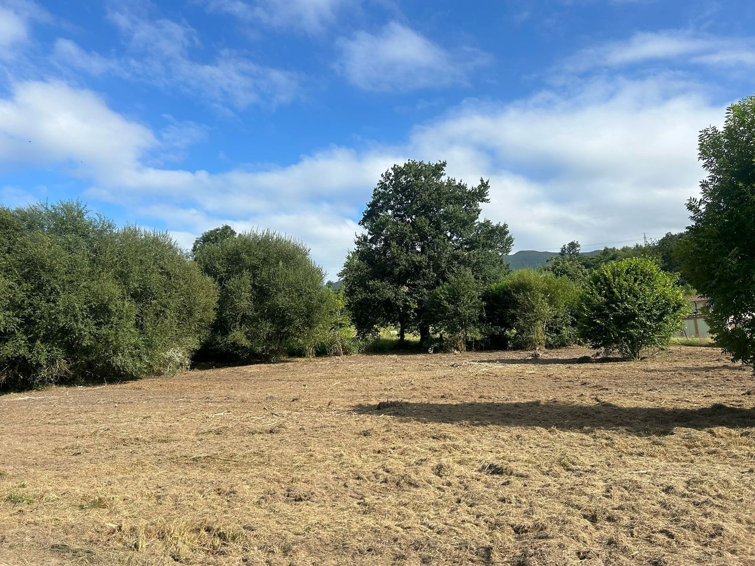 Residential for sale in Piloña