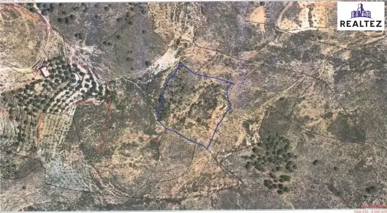 Terrain rustique à vendre à Alcolea, imagen 23